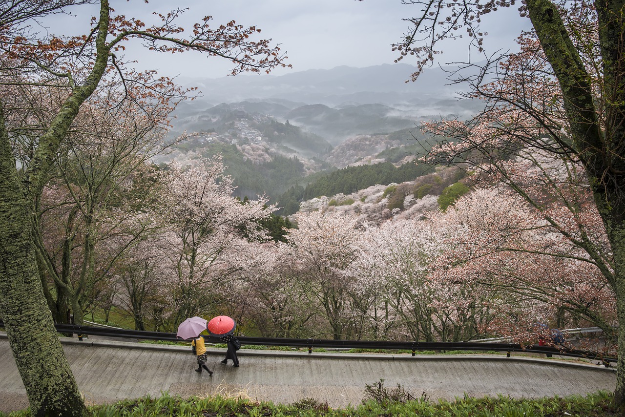 Japonia czyli Kraj Kwitnącej Wiśni